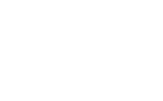 baltictransline.lt